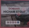 Hicham Stout