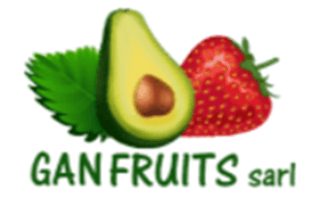 GAN Fruits